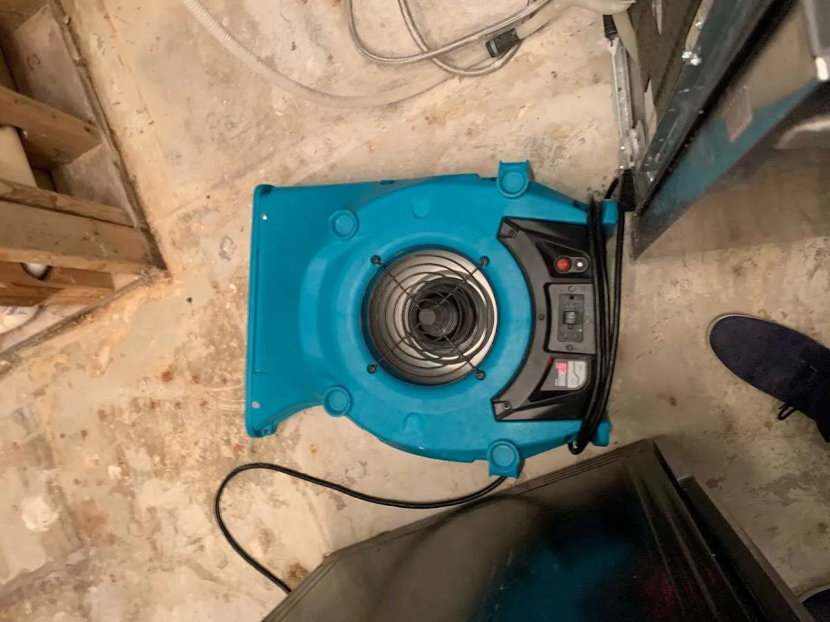 Air mover drying equipment for Mold Remediation & Removal in Gastonia